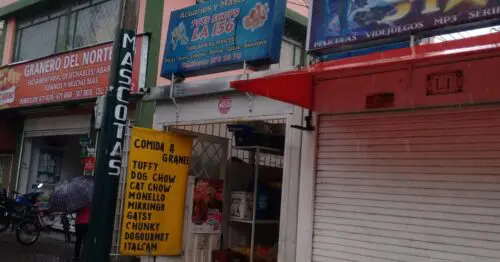 PET SHOP LA 156 PET SHOP LA 156